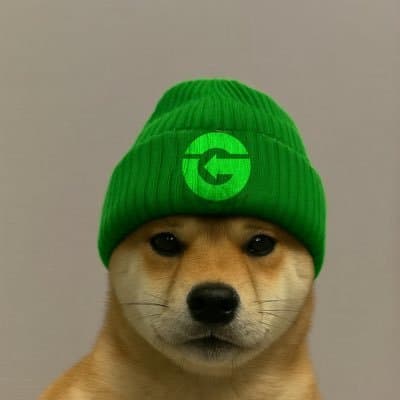 pokogmi