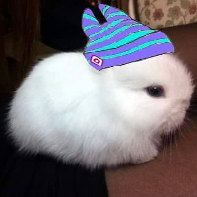 mongdiny7